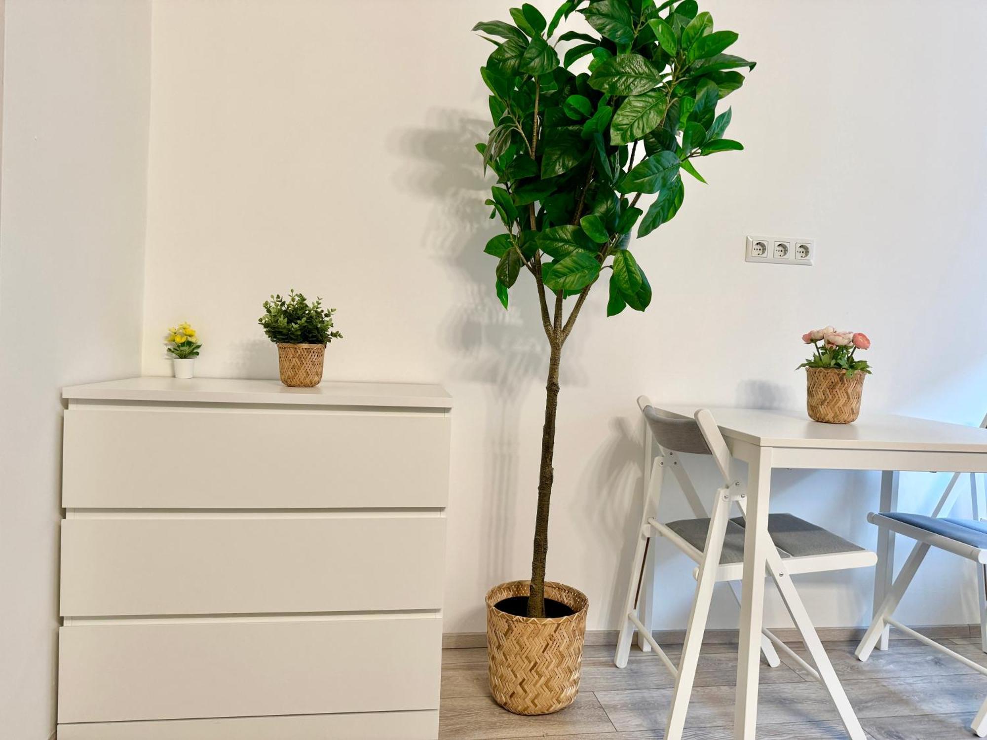 Stylish Schonbrunn Apartments With Free Parking Виена Екстериор снимка